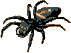 Web Site